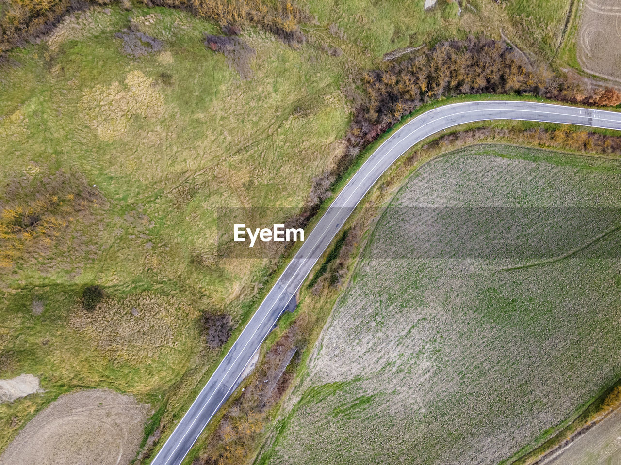 HIGH ANGLE VIEW OF ROAD AMIDST PLANTS