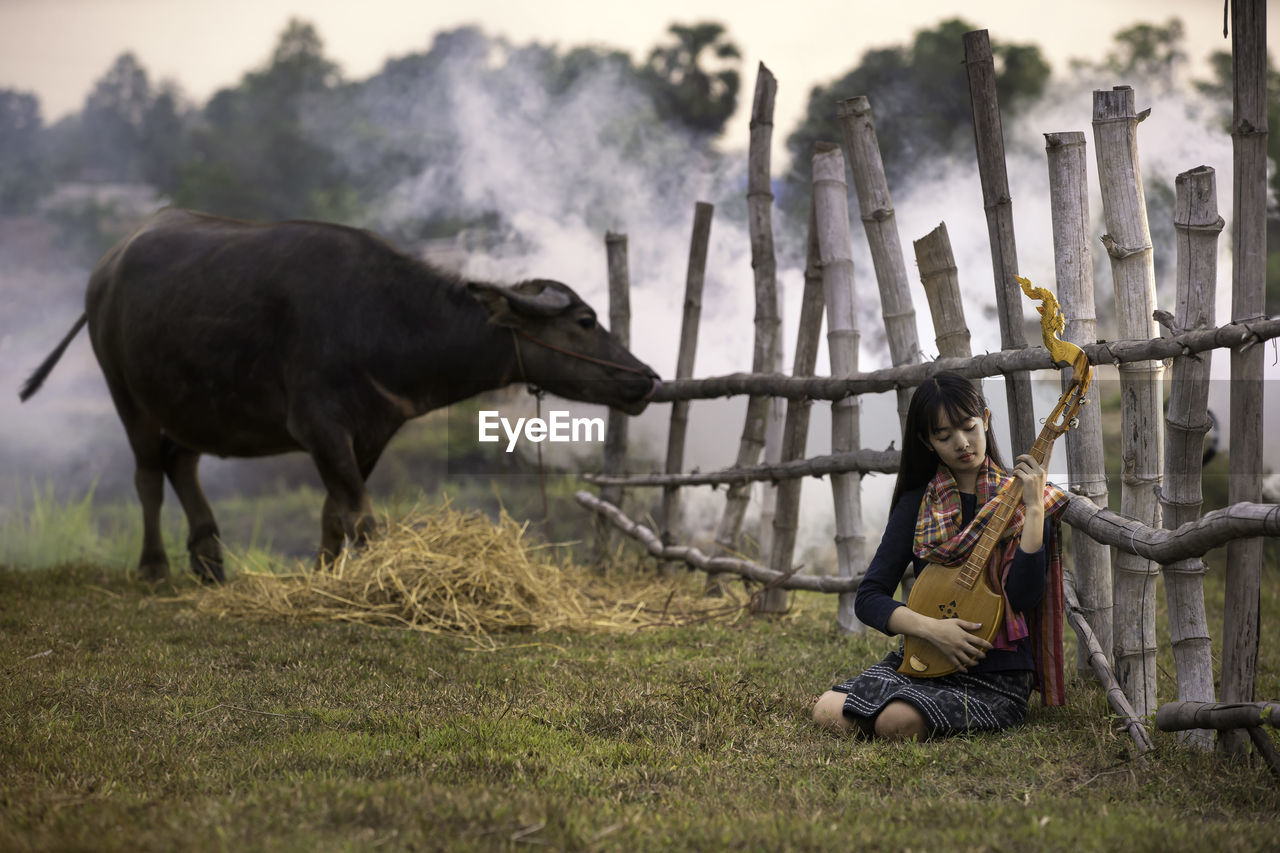 Horse standing in field