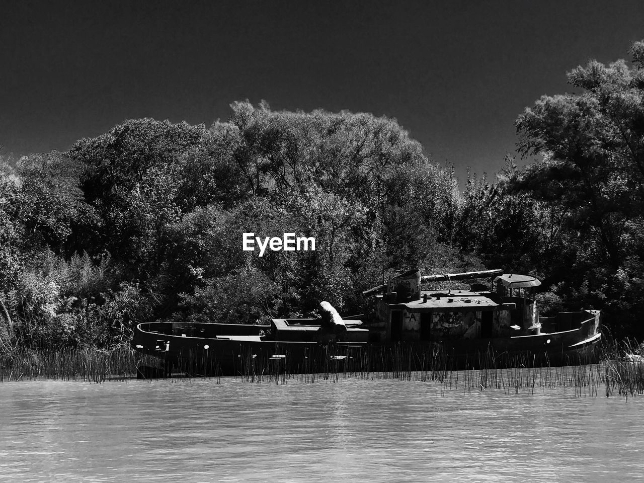 Boat moored on lake against trees