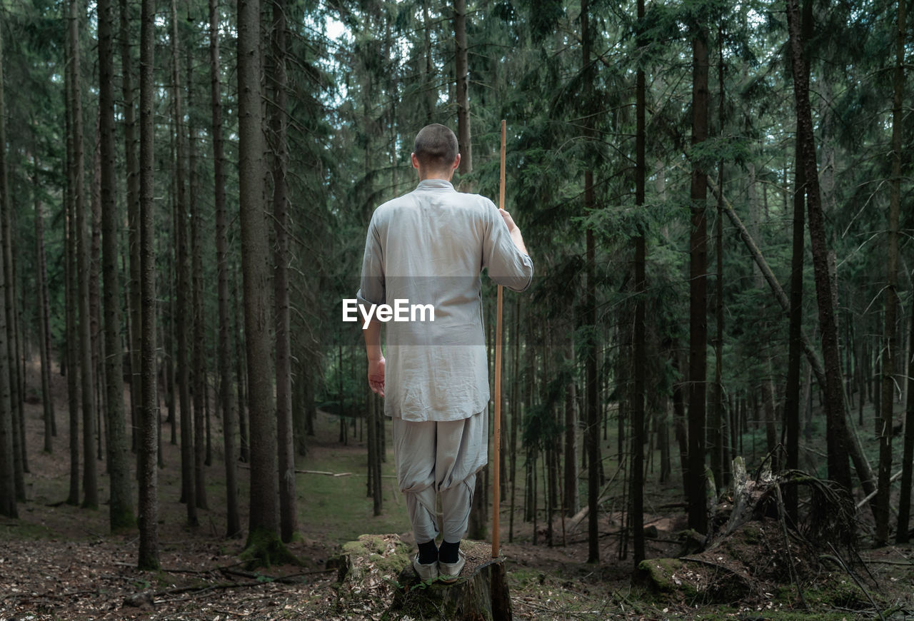 Back view of unrecognizable man with stick standing on rock near trees while practicing kung fu in coniferous forest