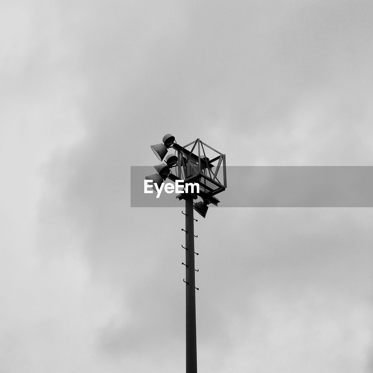 LOW ANGLE VIEW OF BIRD PERCHING ON POLE