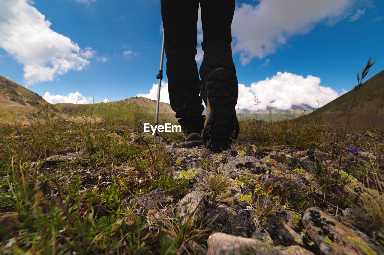 Hiking trail with flowers, green grass and stones. close up of hiking boots in the mountains against