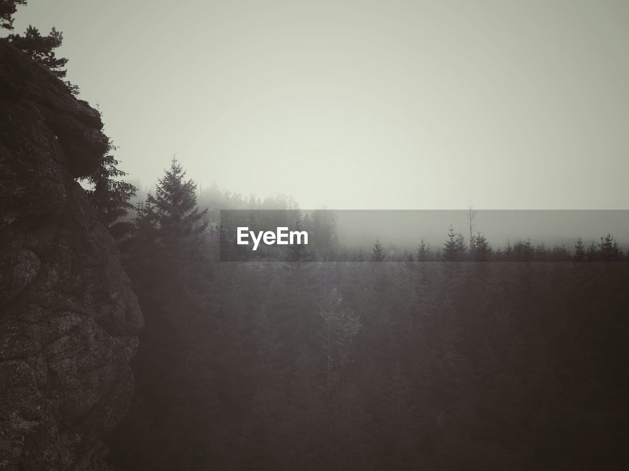View of fog covered landscape 