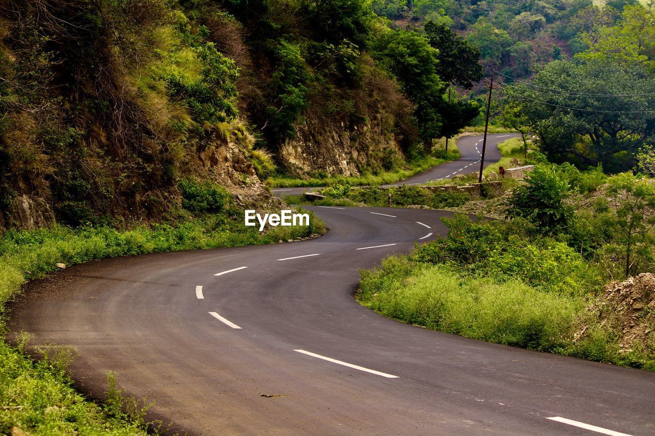 Empty road amidst trees in city