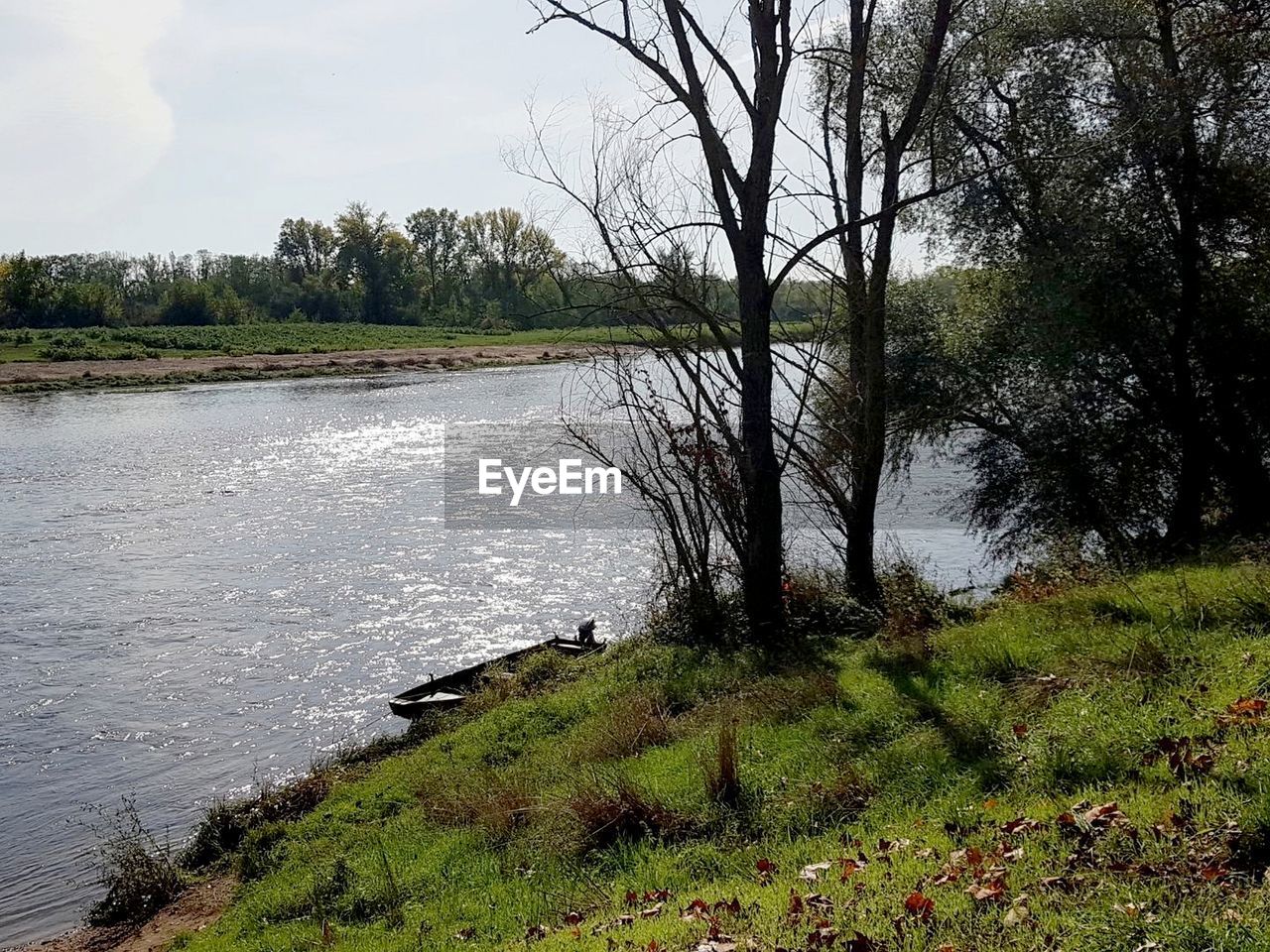 SCENIC VIEW OF RIVER FLOWING THROUGH FOREST