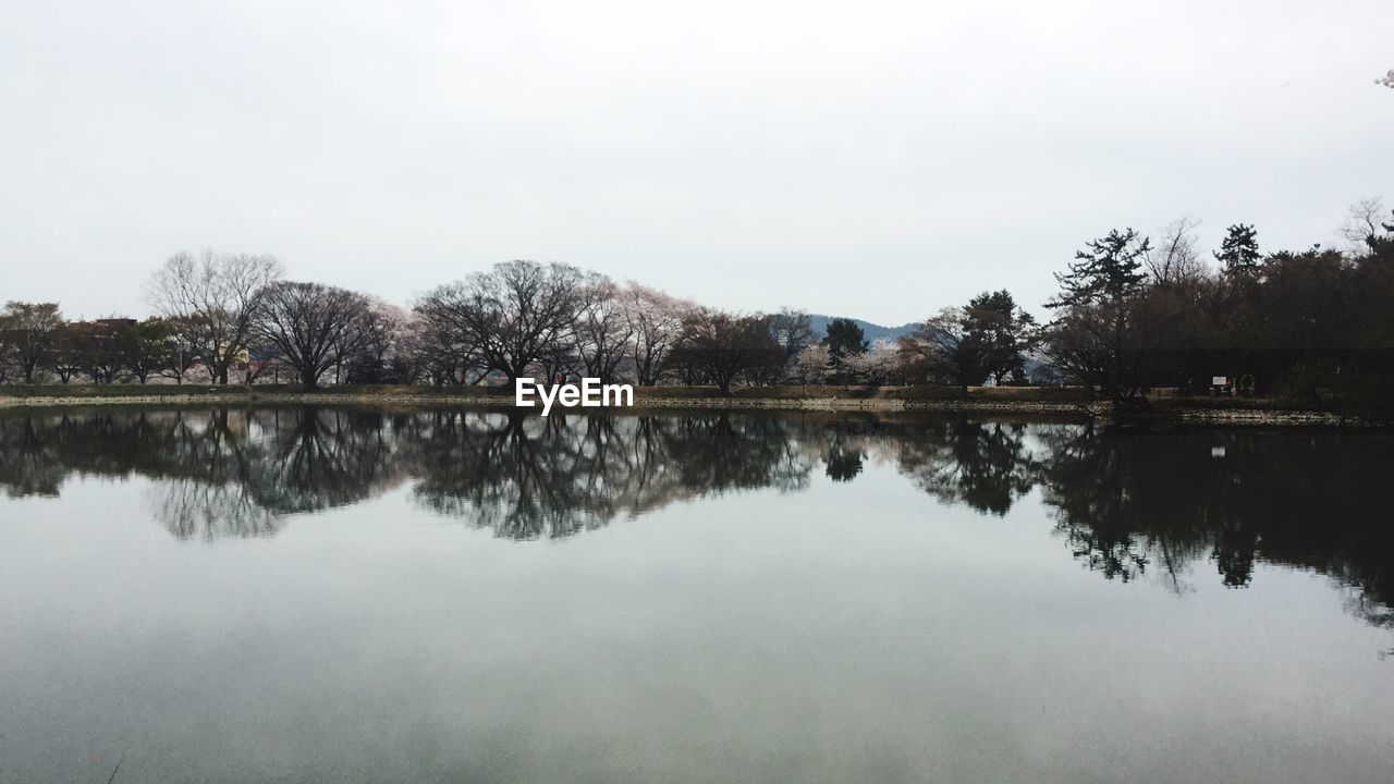 Reflection of trees in lake against sky