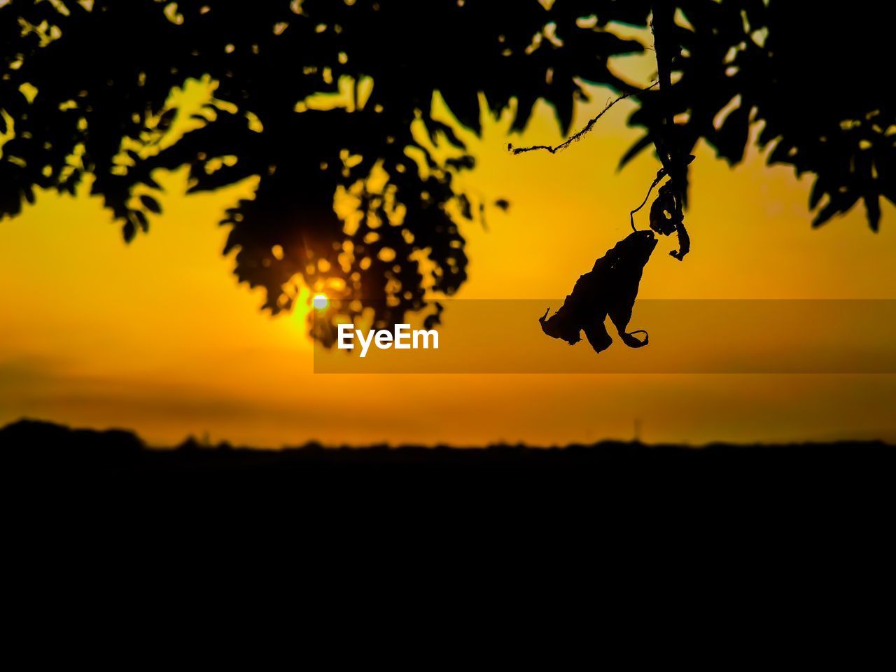 SILHOUETTE TREE AGAINST SKY DURING SUNSET