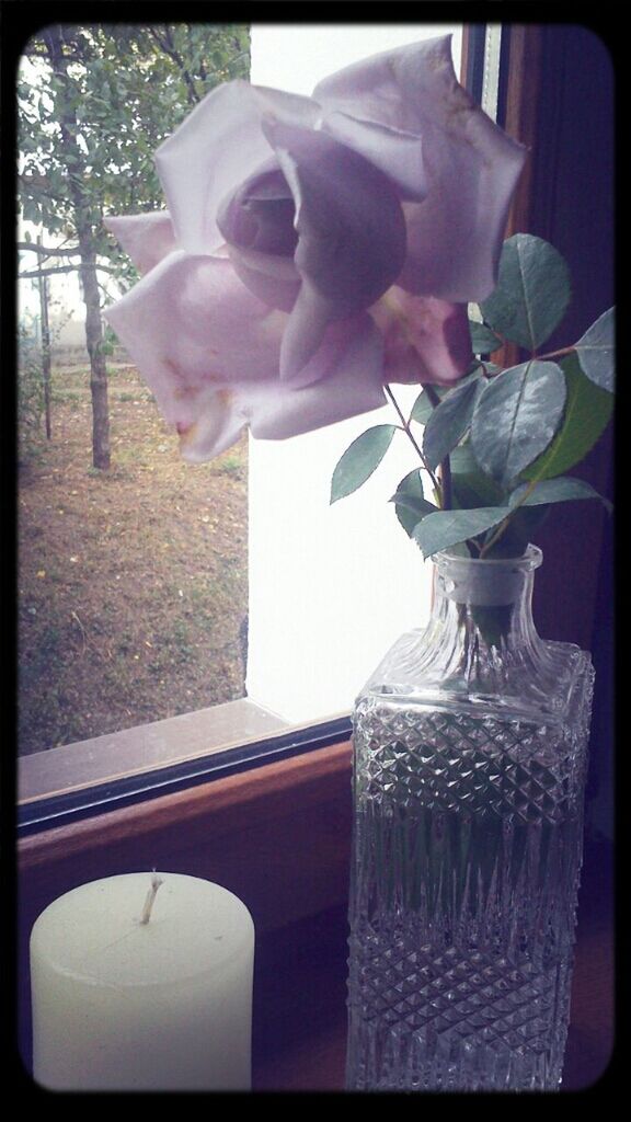 Rose in flower vase with candle on window sill