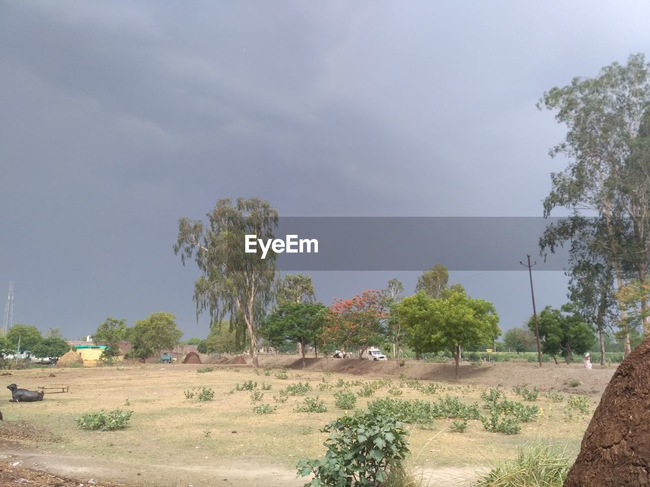 LANDSCAPE AGAINST SKY