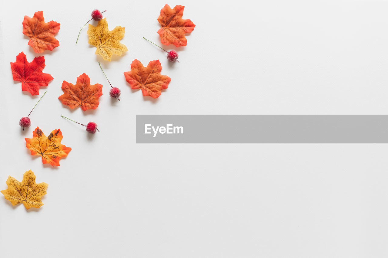 HIGH ANGLE VIEW OF FLOWERS ON WHITE SURFACE