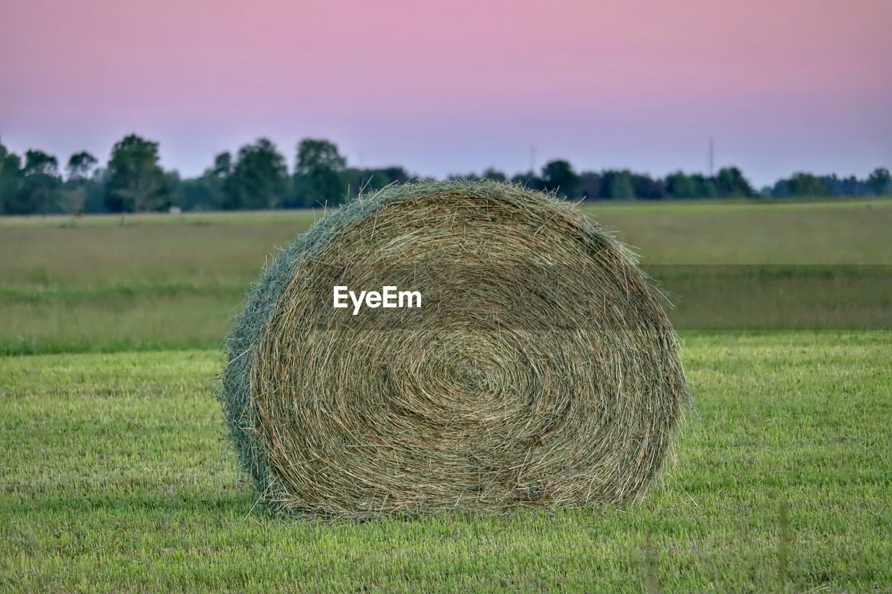 Hay bales on field against sky