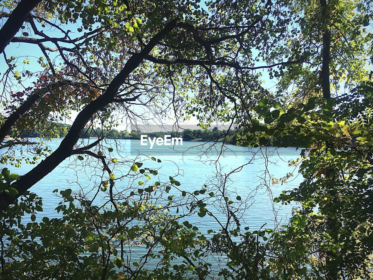 SCENIC VIEW OF LAKE BY TREES AGAINST SKY