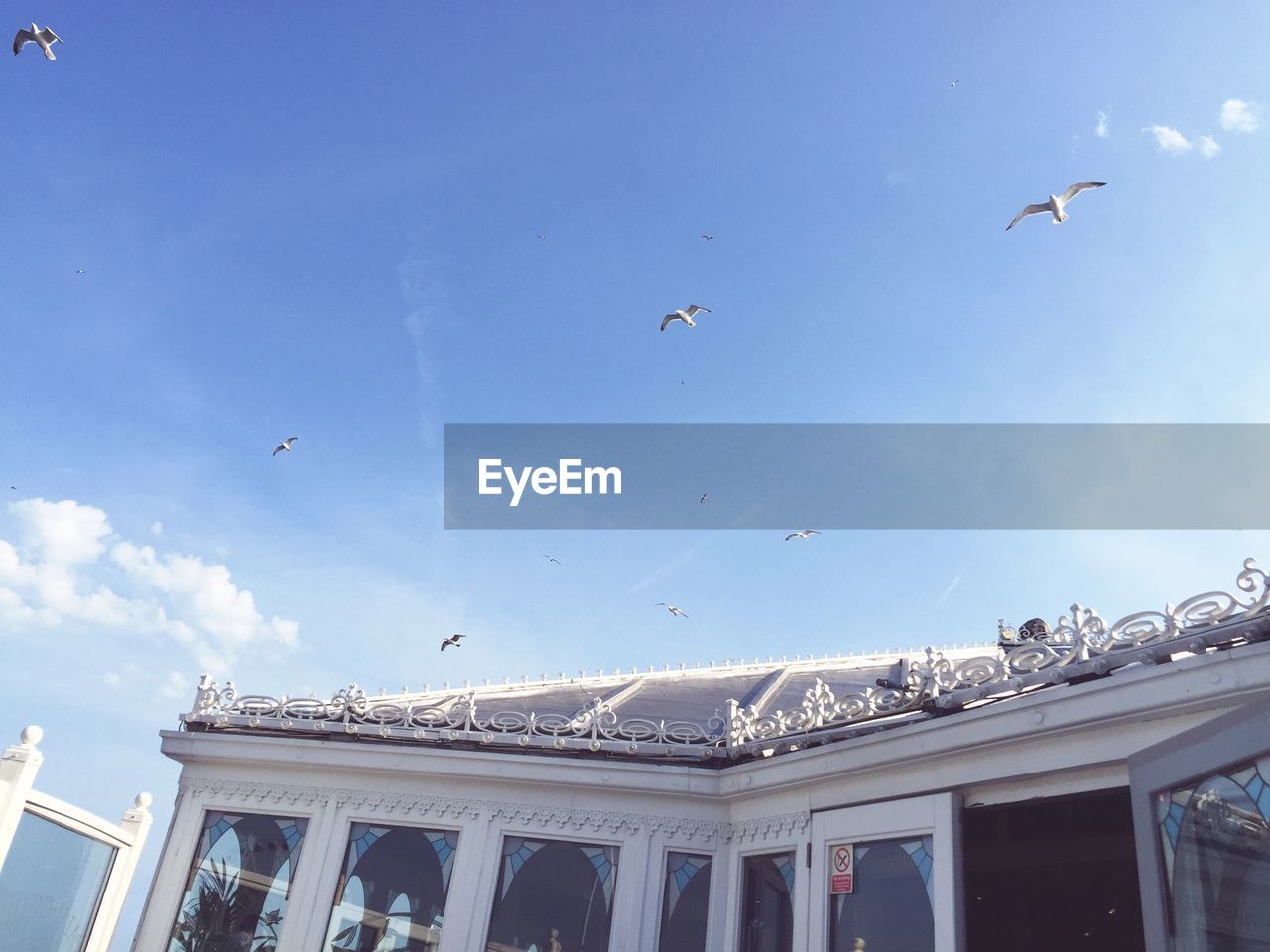 Low angle view of birds flying over palace against sky