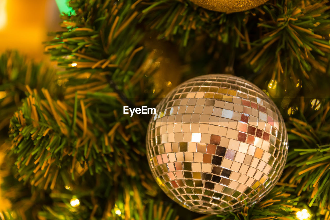 Close-up of illuminated christmas tree