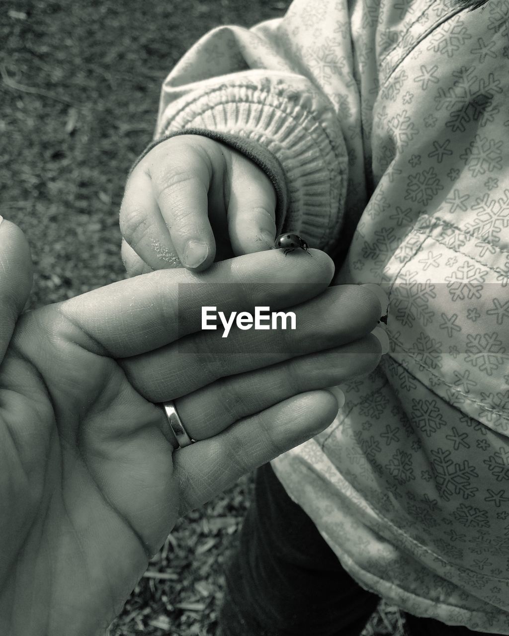 Cropped image of woman and son with ladybug