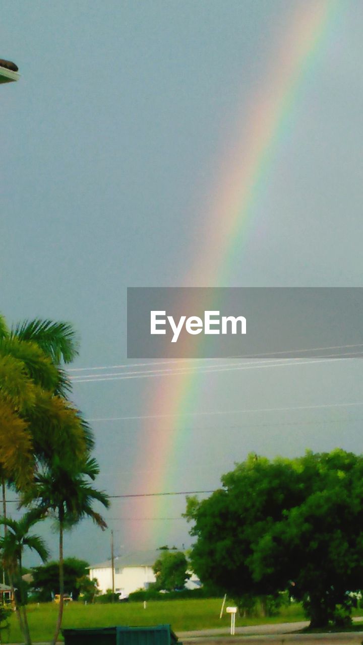 rainbow, tree, plant, beauty in nature, sky, nature, double rainbow, multi colored, scenics - nature, cloud, no people, day, idyllic, tranquility, green, tranquil scene, outdoors, environment, spectrum, growth, grass