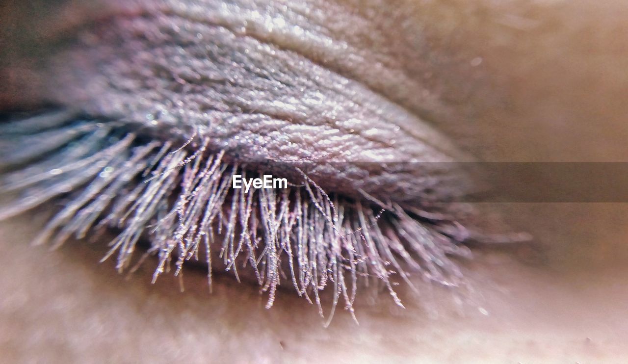 Macro shot of close eye with makeup