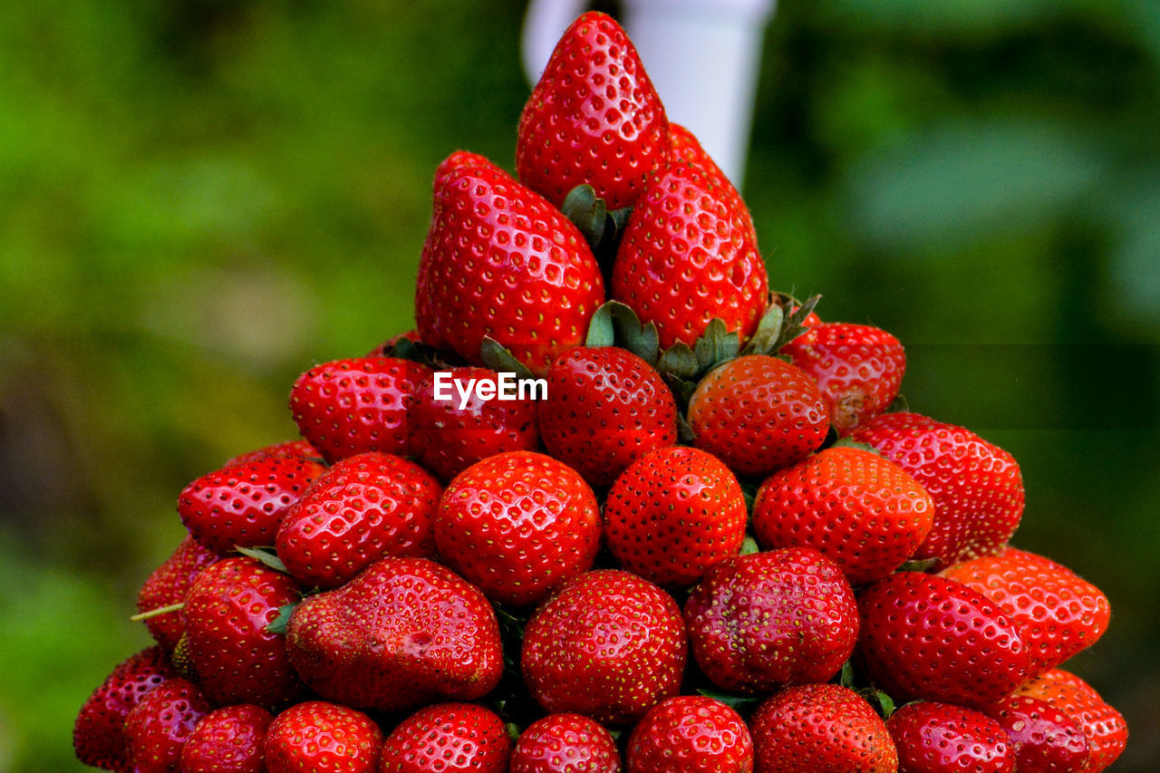 Close-up of strawberries