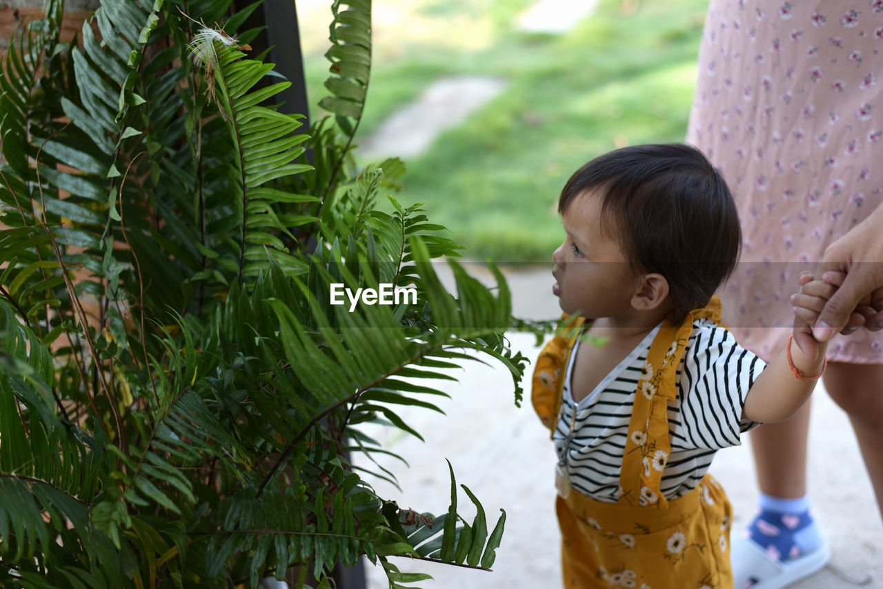 Preschoolers exploring nature little boy looking at fern leaves summer vacation for curious children