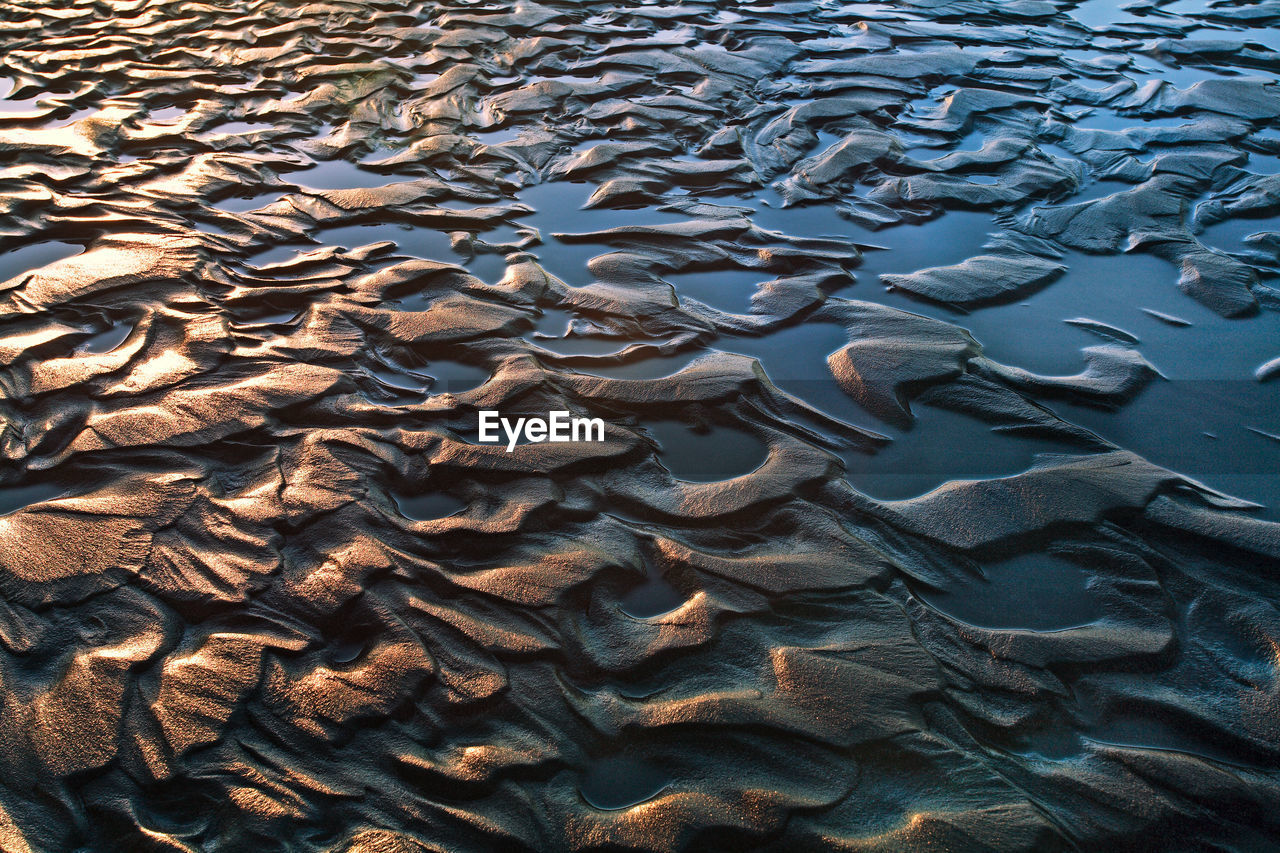 FULL FRAME SHOT OF SEA WITH ANIMAL