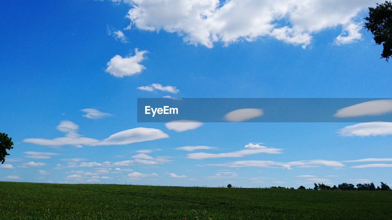 Scenic view of field against blue sky