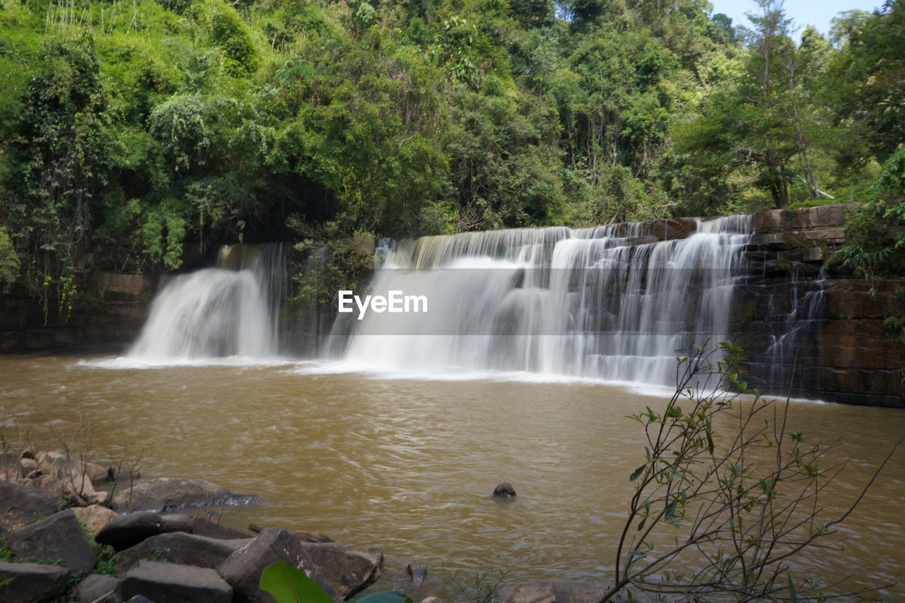 WATERFALL IN FOREST