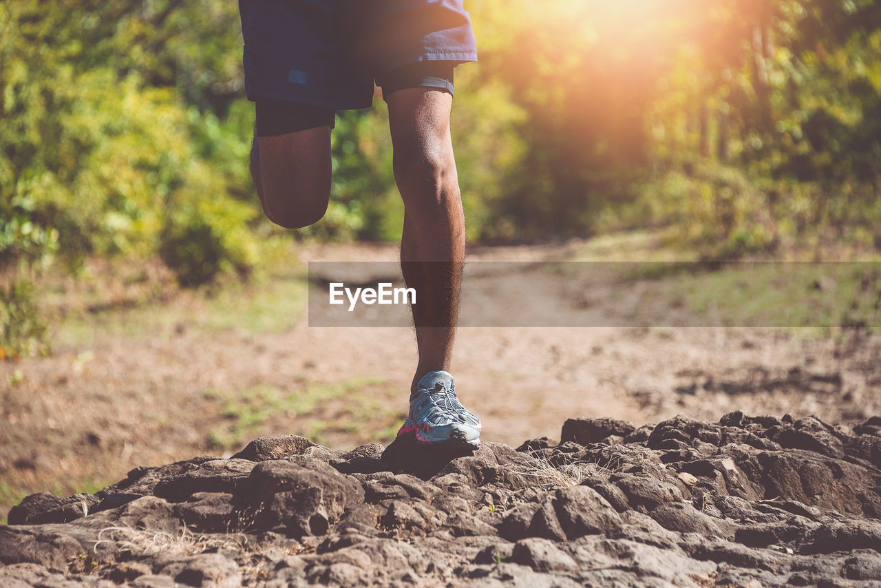Low section of man wearing shorts jogging in forest