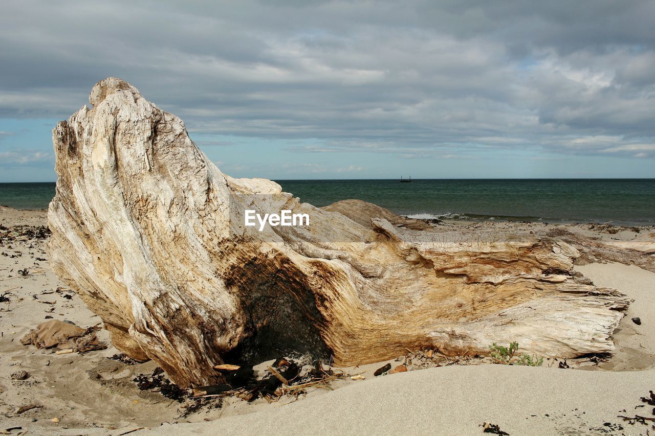 Close-up of driftwood on beach by sea against cloudy sky