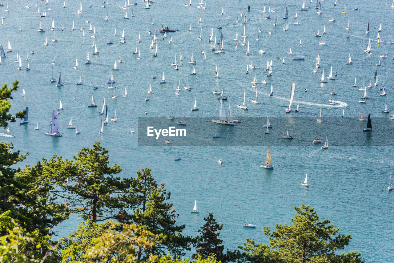 HIGH ANGLE VIEW OF SAILBOATS