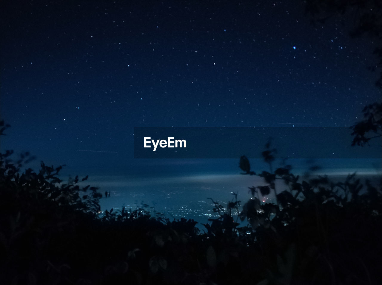 Silhouette trees against sky at night