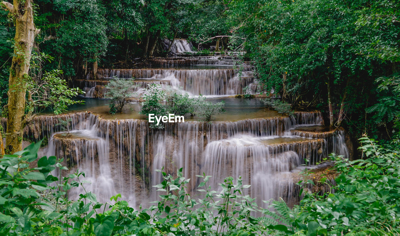 Scenic view of waterfall in forest