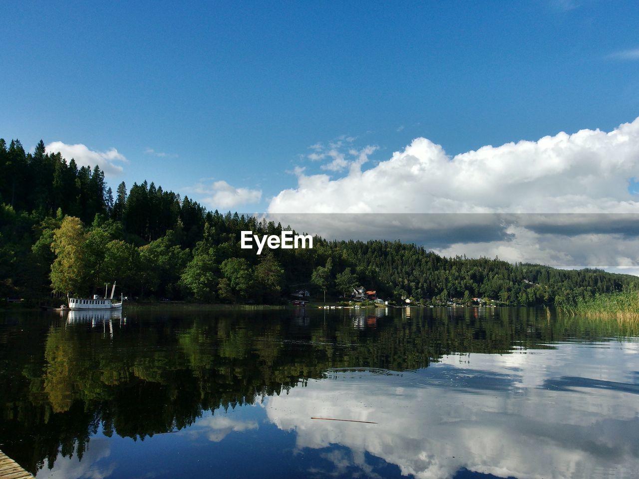 Scenic view of lake by trees against sky