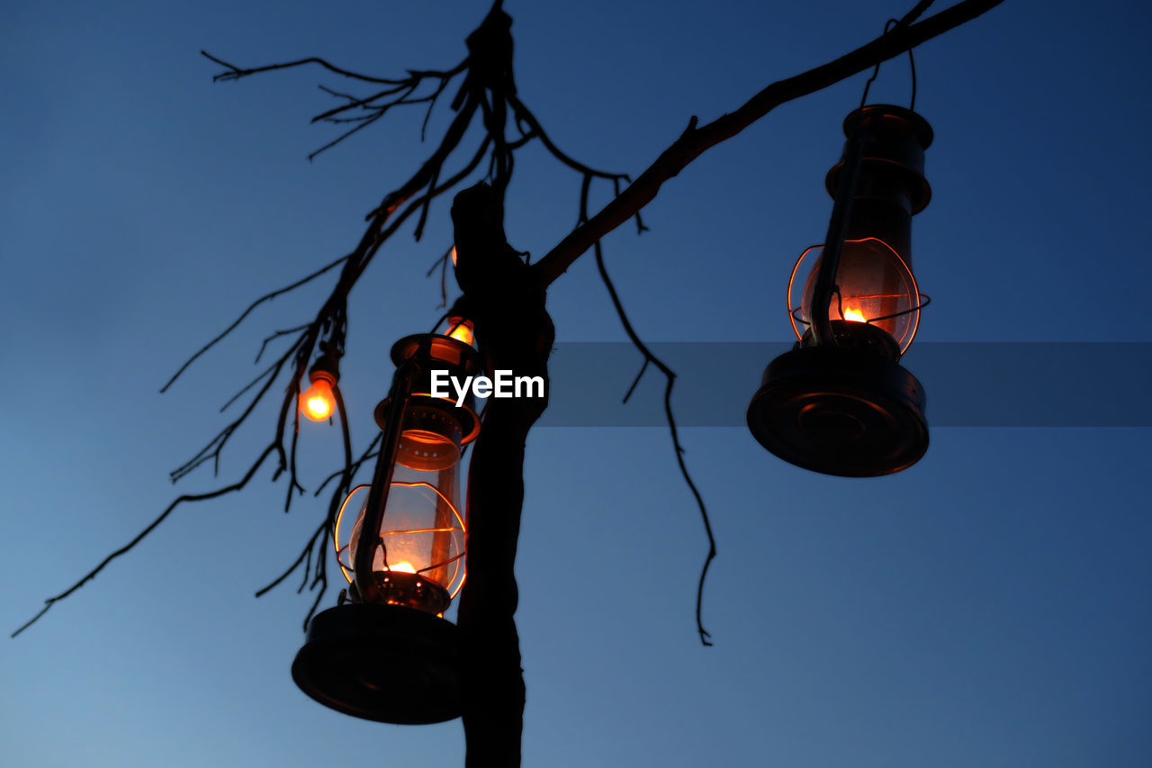 Low angle view of illuminated lanterns