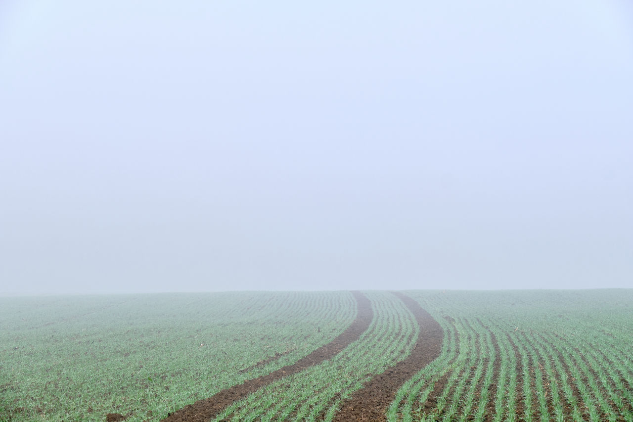 SCENIC VIEW OF FARM AGAINST SKY