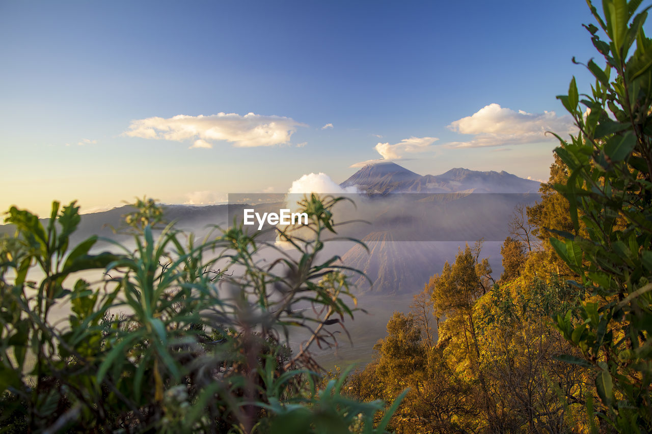 nature, sky, plant, landscape, environment, morning, sunlight, mountain, land, cloud, scenics - nature, beauty in nature, tree, rural area, no people, travel, leaf, flower, grass, outdoors, travel destinations, blue, tranquility, water, mountain range, natural environment, autumn, plant part, growth, wilderness, field, rural scene, sun, forest, tourism, tranquil scene, food, day