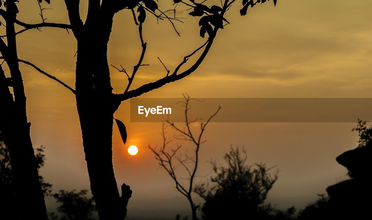 Silhouette trees against sky during sunset 