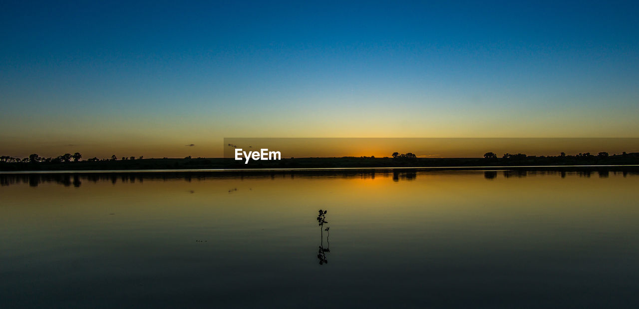 Lake with single plant by clear sky at dusk