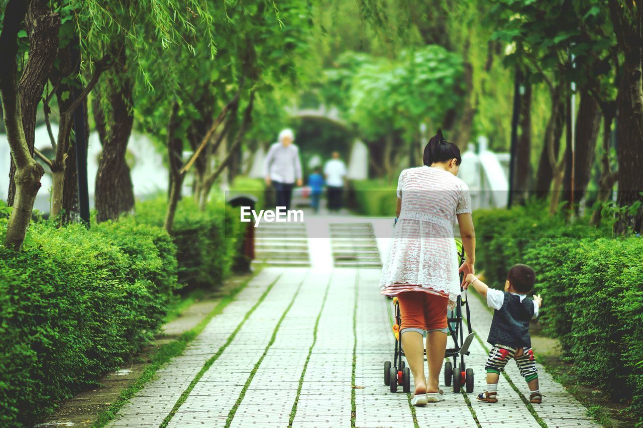 Rear view of mother with child walking in park