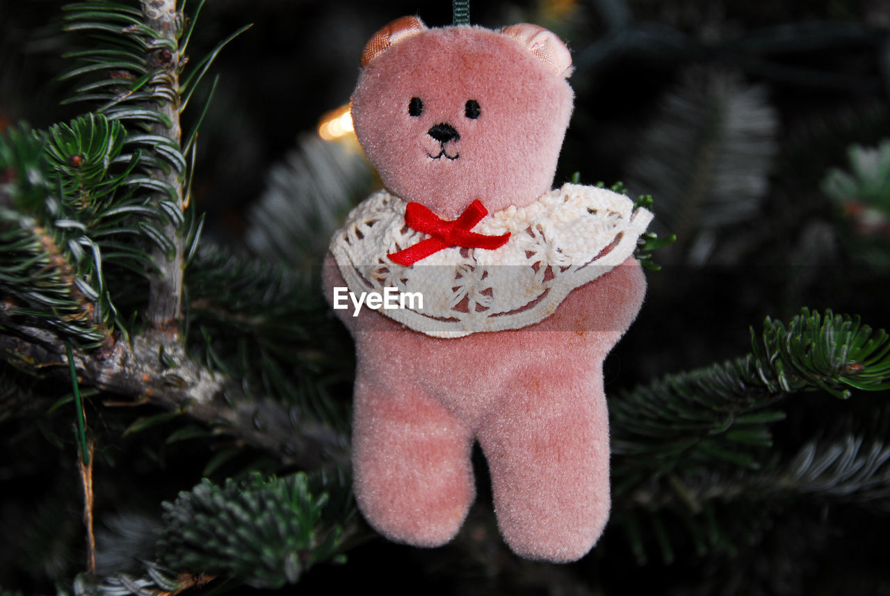 CLOSE-UP OF CHRISTMAS DECORATIONS ON TREE IN PARK