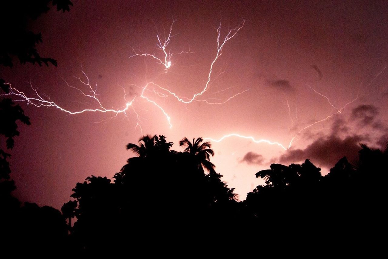 Lightning above trees