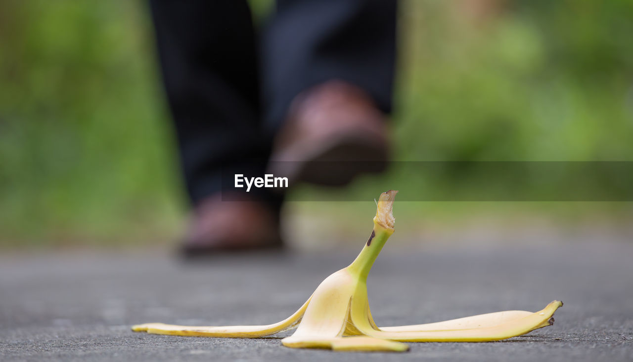 A pedestrian and a banana peel are on a walkway