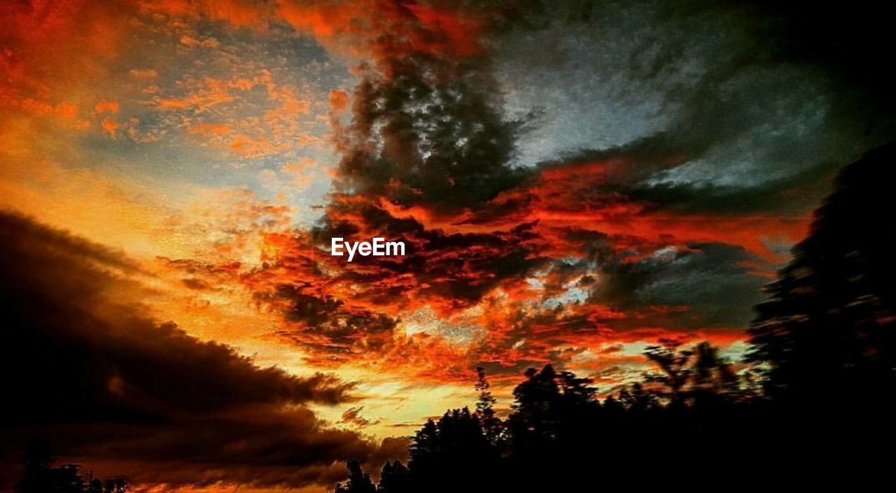 LOW ANGLE VIEW OF SILHOUETTE TREES AGAINST DRAMATIC SKY