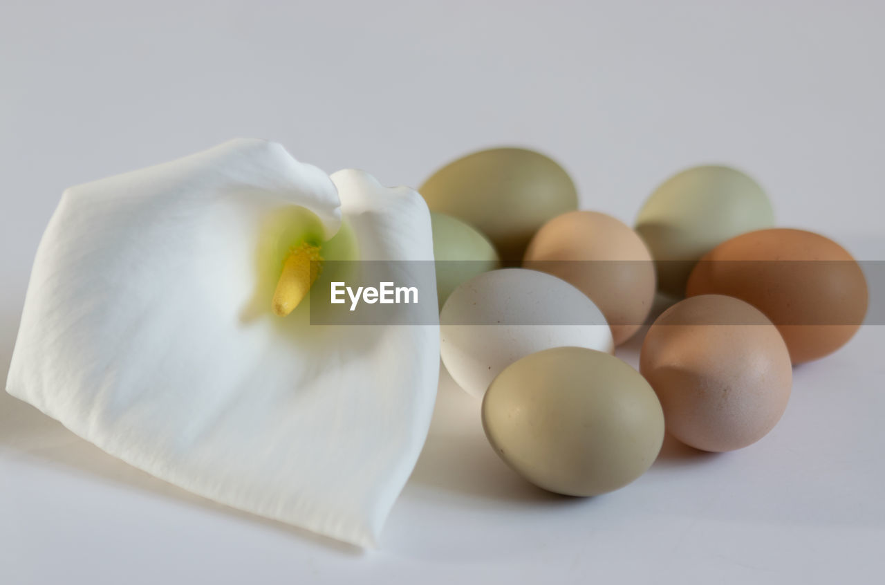 food, food and drink, egg, freshness, studio shot, wellbeing, healthy eating, indoors, no people, fragility, white, still life, group of objects, close-up, simplicity, raw food, nature, animal egg, ingredient, white background, shell