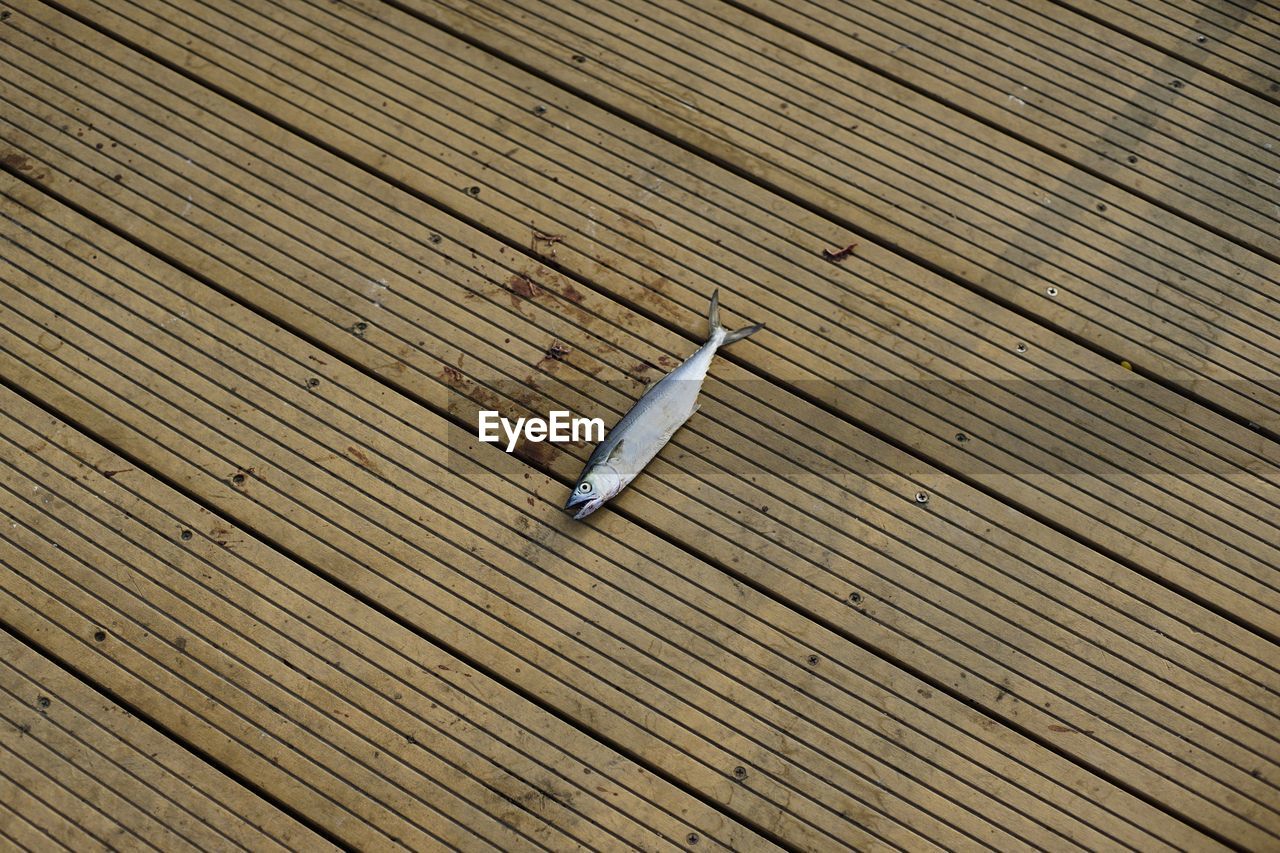 High angle view of wood on boardwalk