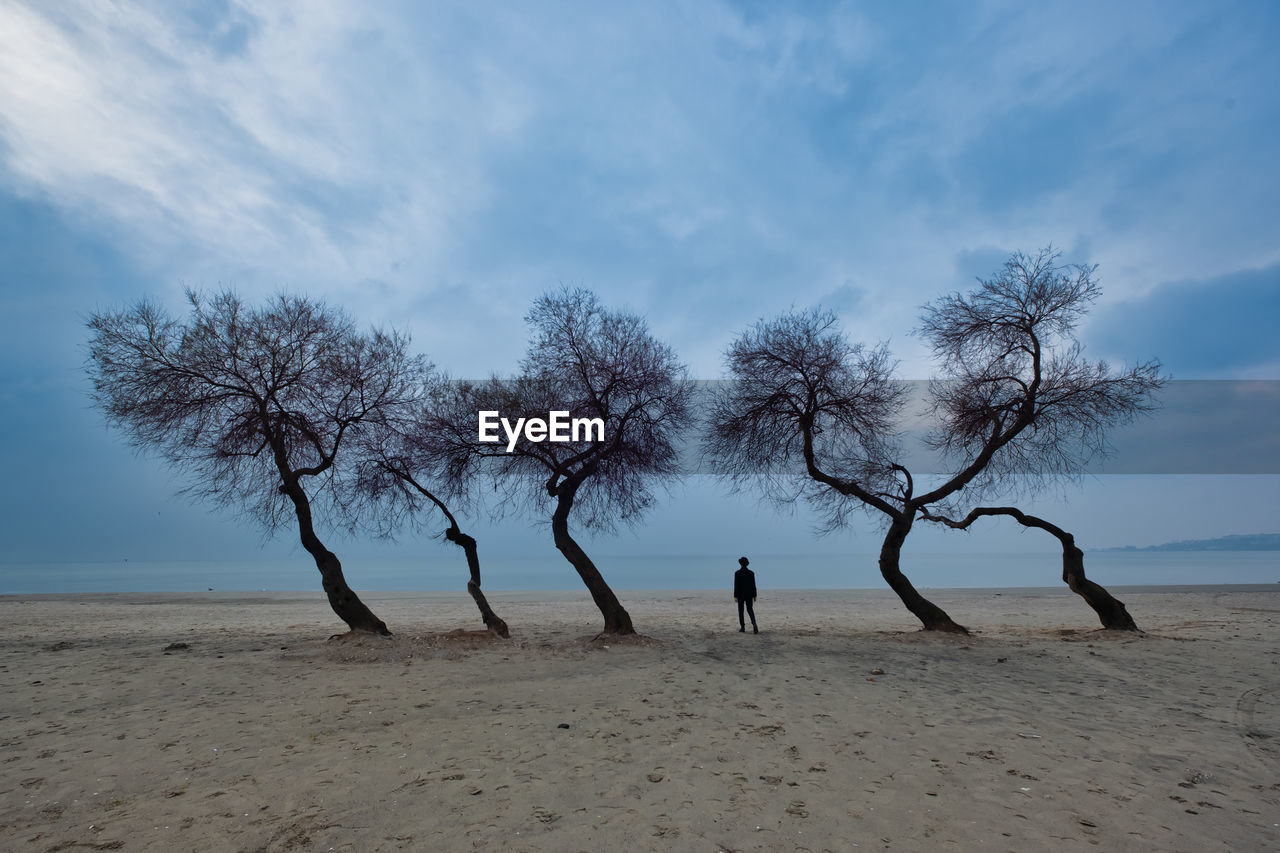 Woman walking isolated among odd shaped trees