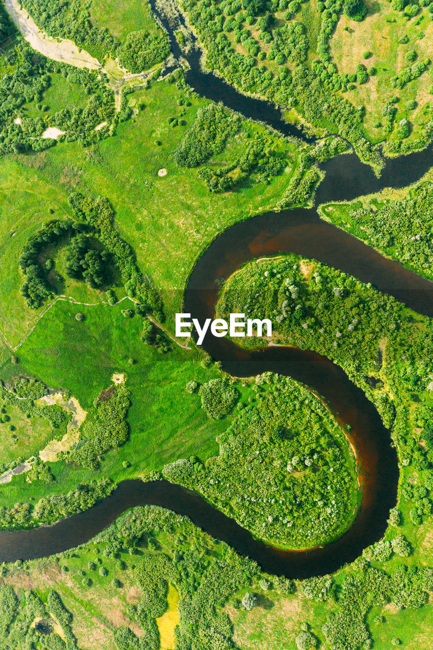 Aerial view of river flowing through forest