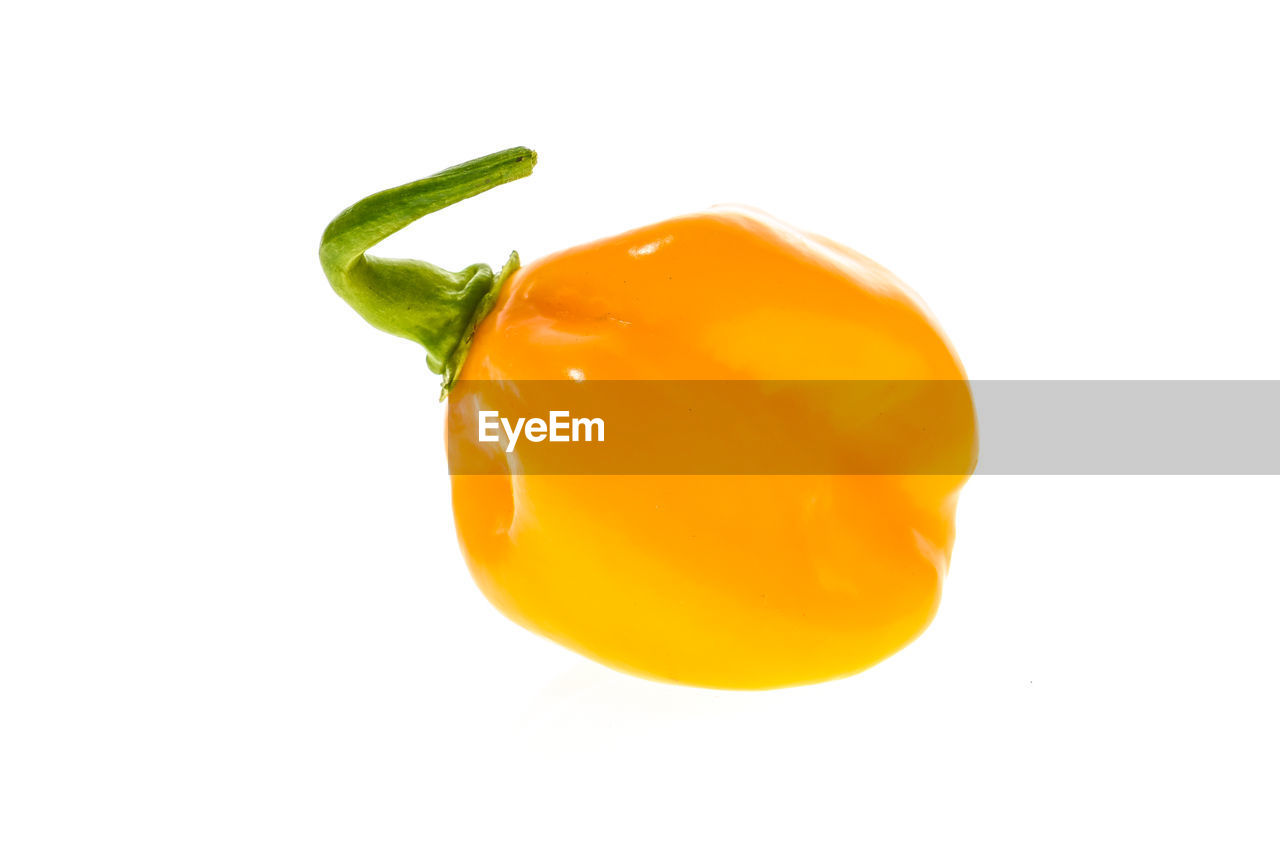 CLOSE-UP OF YELLOW BELL PEPPER