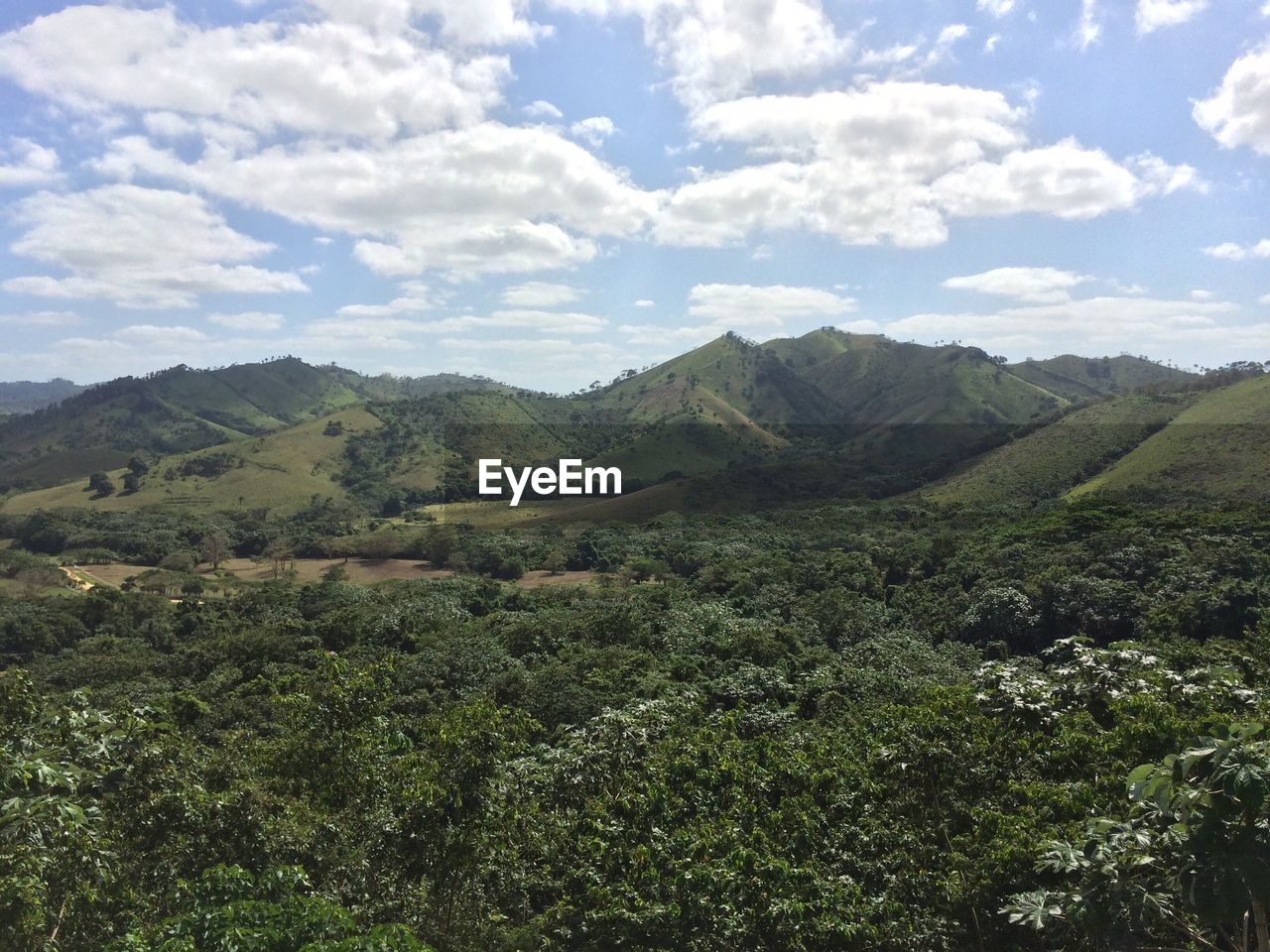 SCENIC VIEW OF GREEN LANDSCAPE AGAINST SKY