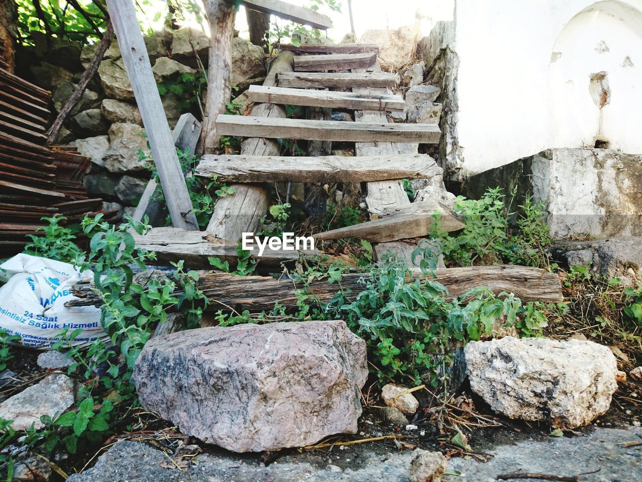 CLOSE-UP VIEW OF PLANTS