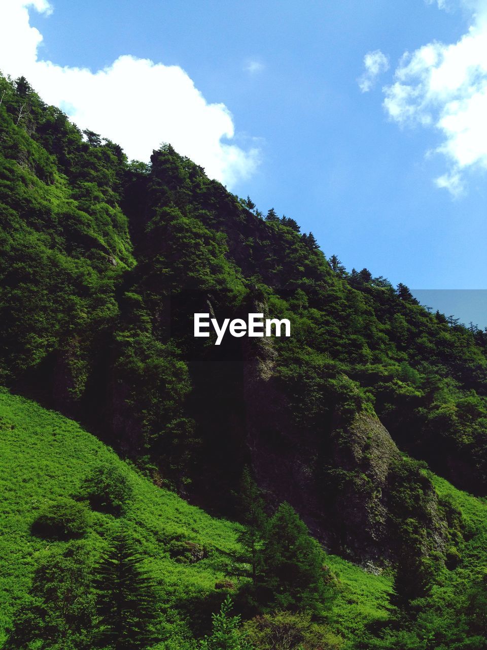 LOW ANGLE VIEW OF MOUNTAIN AGAINST SKY